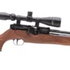 Weihrauch HW100K