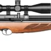 Air Arms S510 Carbine